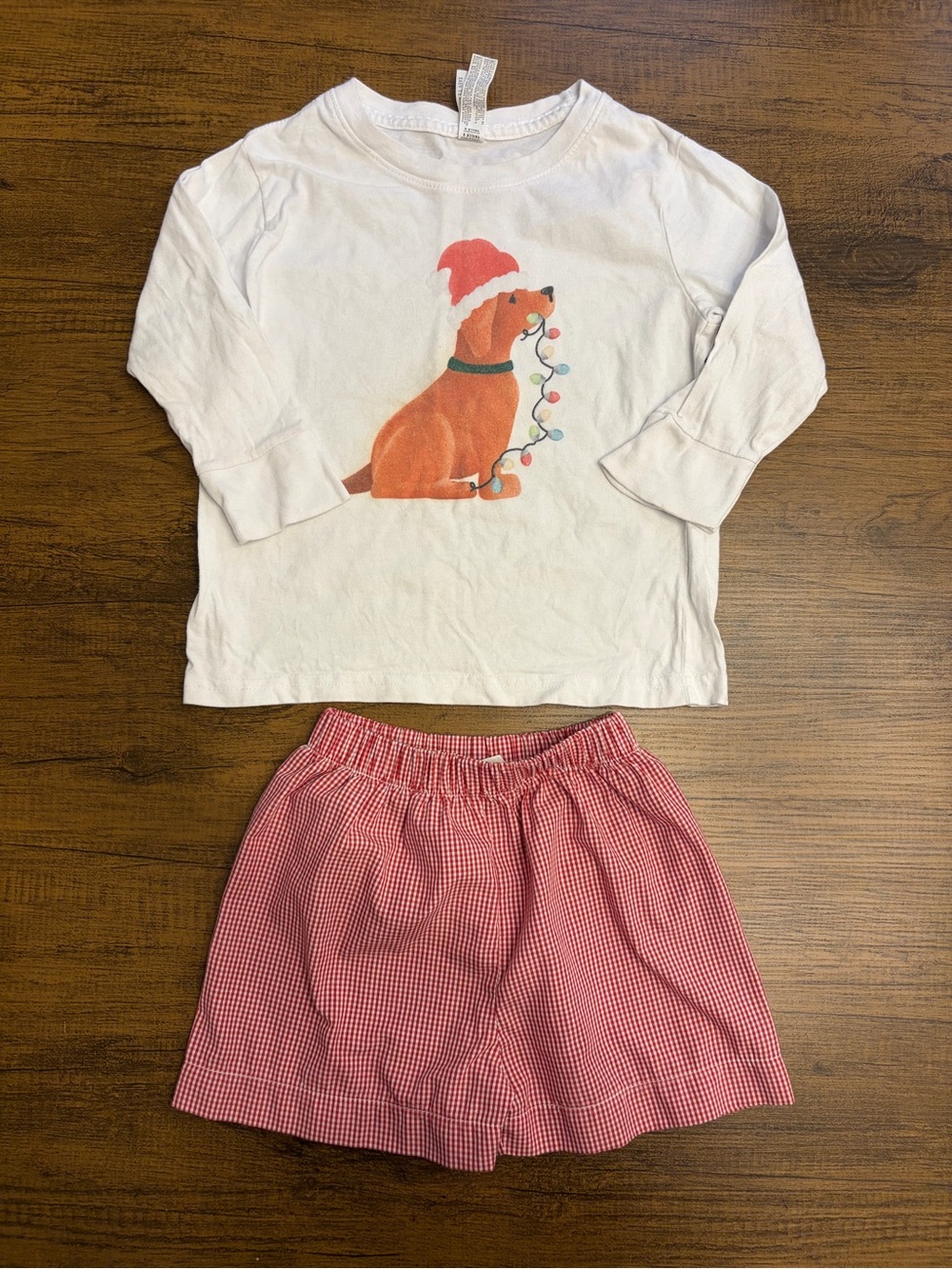Stitchy Fish Holiday Tee With Red Gingham Shorts